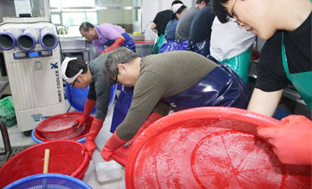 경로 배식봉사 사진