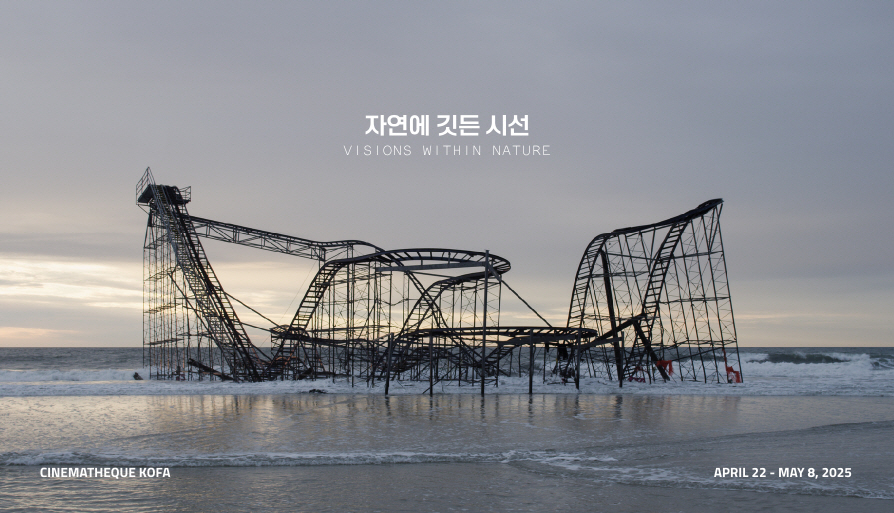 자연에 깃든 시선 대표 이미지