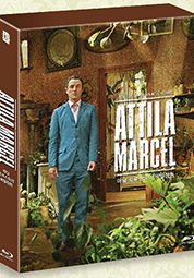 마담 프루스트의 비밀정원 대표이미지