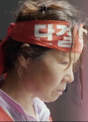 갈매기 대표이미지