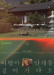 바람아 안개를 걷어가다오 대표이미지
