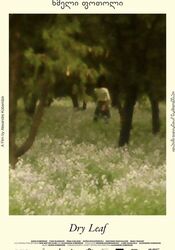 마른 잎 대표이미지