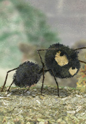 다시 보는 최강애니전 2012 대표이미지