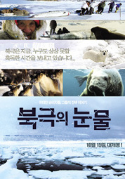 북극의 눈물 대표이미지