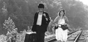 앵무새 몸으로 울었다 Parrot Cries with Its Body 대표이미지