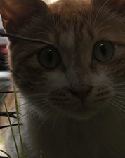 동굴 밖으로 대표이미지