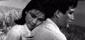 안개 대표이미지