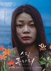 스틸 플라워 대표이미지