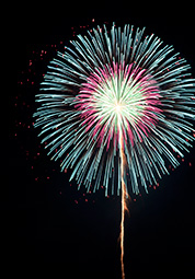 LIGHT UP NIPPON 대표이미지