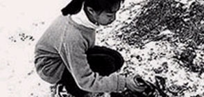 스케이트 대표이미지