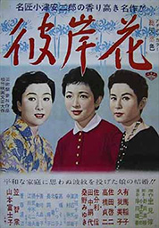 피안화 대표이미지