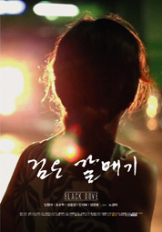 [쇼케이스]검은 갈매기 대표이미지