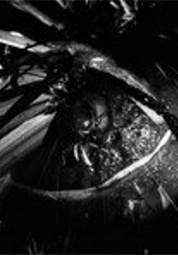 랩 프로그램 3: 샌디 딩 SANDY DING 대표이미지