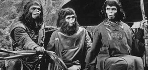 혹성탈출 Planet Of The Apes 대표이미지